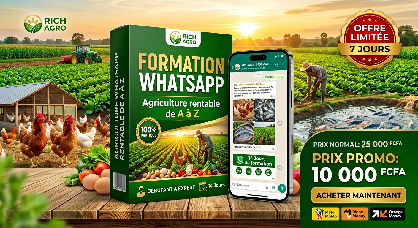 FORMATION COMPLÈTE WHATSAPP 14 JOURS